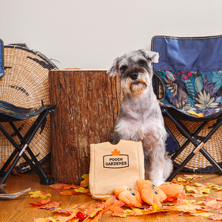 HugSmart Pet - Autumn Tailz  |  Leaf Bag - Interactive Toy