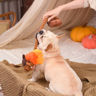 HugSmart Pet - Autumn Tailz  | Autumn Acorn - Dog Rope Toy