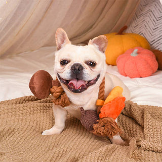 HugSmart Pet - Autumn Tailz  | Autumn Acorn - Dog Rope Toy